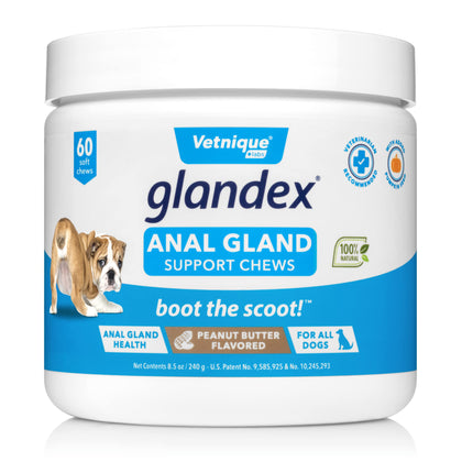 Glandex Anal Gland Soft Chew Treats with Pumpkin for Dogs Digestive Enzymes, Probiotics Fiber Supplement for Dogs Boot The Scoot (Peanut Butter Chews, 60ct)