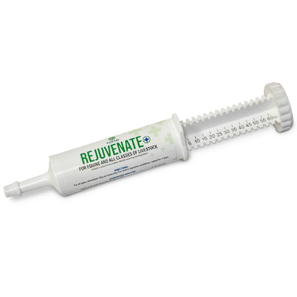 Rejuvenate+ Equine Oral Paste (60g Oral Syringe, Pack of 1) Digestive and Immune Support for Horses - Horse Supplements for Digestion