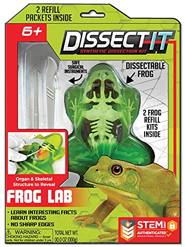 A Synthetic Frog Dissection kit