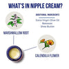 Motherlove Nipple Cream (1 oz) Organic Lanolin-Free Nipple Cream for Breastfeeding-Benefits Nursing & Pumping Moms