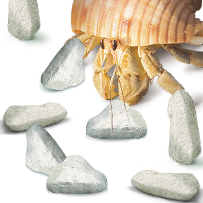 JOR Mineral Rocks for Hermit Crabs, Calcium-Rich for Stronger Shells and Pets Vitality, for Ideal Tanks Humidity Level, Terrarium Décor, 2 oz.