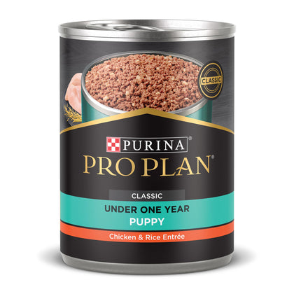 Purina Pro Plan High Protein Puppy Food Pate, Chicken and Brown Rice Entree - (Pack of 12) 13 oz. Cans (Expiry -9/30/2025)