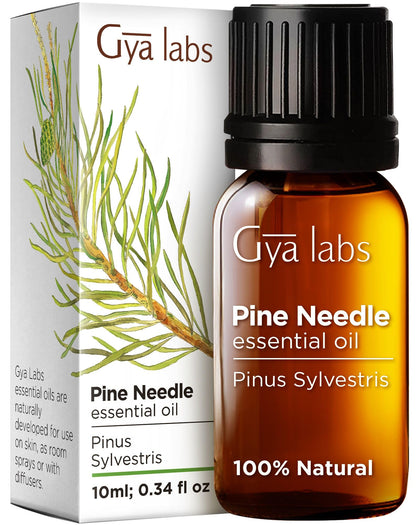 Gya Labs Pine Essential Oils for Diffuser - 100% Natural Pine Oil Essential Oils - Pine Essential Oil for Candle Making (0.34 fl oz)