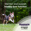 Nutramax Laboratories Denamarin Liver Health Supplement for Medium Dogs - With S-Adenosylmethionine (SAMe) and Silybin, 30 Tablets